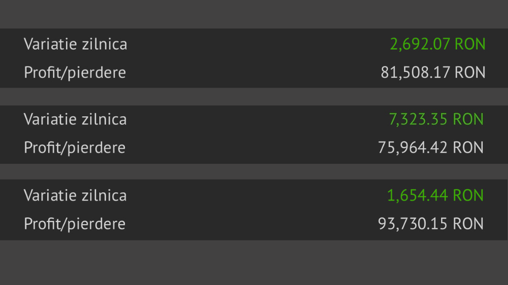 +100.000 RON Profit